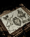 Birth of Sin — Original Graphite Artwork (1/1)